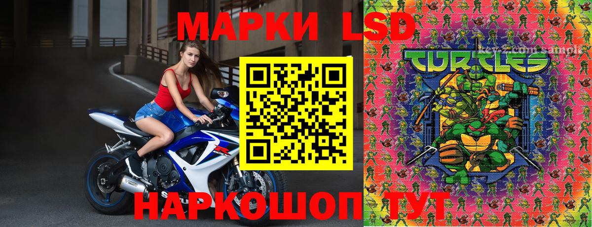 Марки NBOMe 1,8мг  Вход с VPN  Марки NBOMe 1,8мг  Выборг 