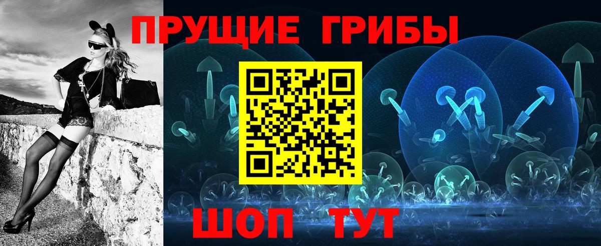 Галлюциногенные грибы Psilocybine cubensis Выборг